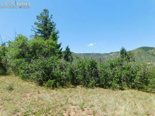 13 PERRY PARK AVE, LARKSPUR, CO 80118, photo 1 of 25