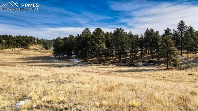 150 HIGH PASTURE RD, FLORISSANT, CO 80816, photo 3 of 20
