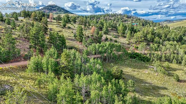 1325 PENROSE CIR, CRIPPLE CREEK, CO 80813, photo 2 of 23