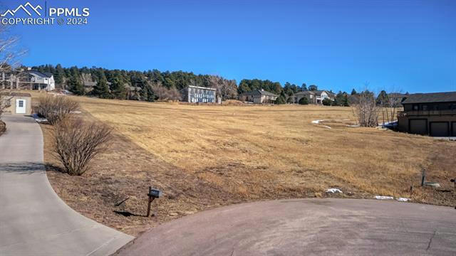 17135 EARLY STAR DR, MONUMENT, CO 80132, photo 3 of 14