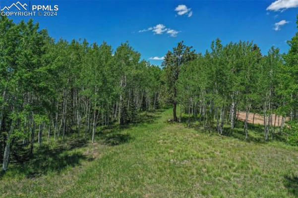 228 WORLEY RD, DIVIDE, CO 80814, photo 4 of 8