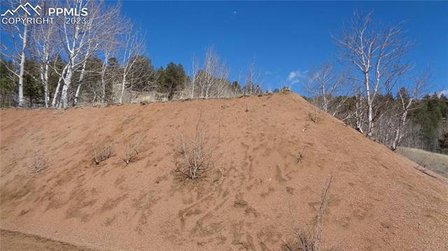 400 LAST DOLLAR DR, CRIPPLE CREEK, CO 80813, photo 5 of 15