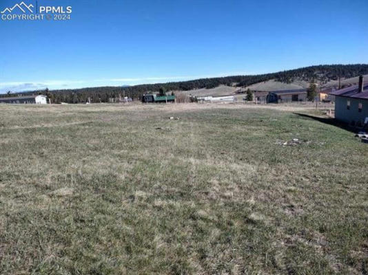 149 WILL SCARLET DR, DIVIDE, CO 80814, photo 4 of 5