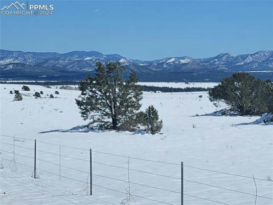 COUNTY ROAD 29, COTOPAXI, CO 81223, photo 4 of 22