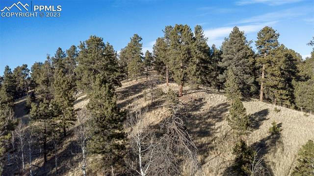 549 SPRING VALLEY DR, FLORISSANT, CO 80816, photo 1 of 16