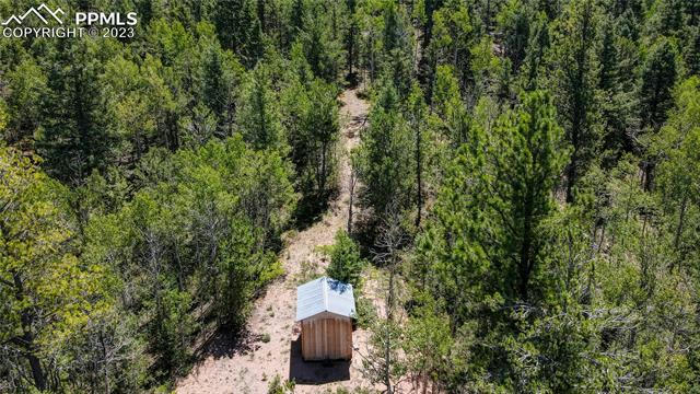 1601 MAY QUEEN DR, CRIPPLE CREEK, CO 80813, photo 1 of 44