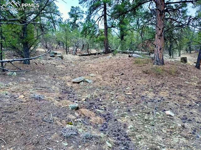LOT 5 HOLMES ROAD, COTOPAXI, CO 81223, photo 1 of 34