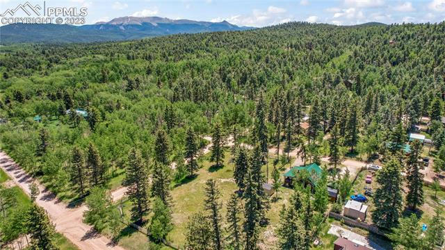 62 MAID MARIAN DR, DIVIDE, CO 80814, photo 3 of 4