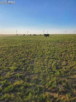 COUNTY ROAD 169, MATHESON, CO 80830 - Image 1