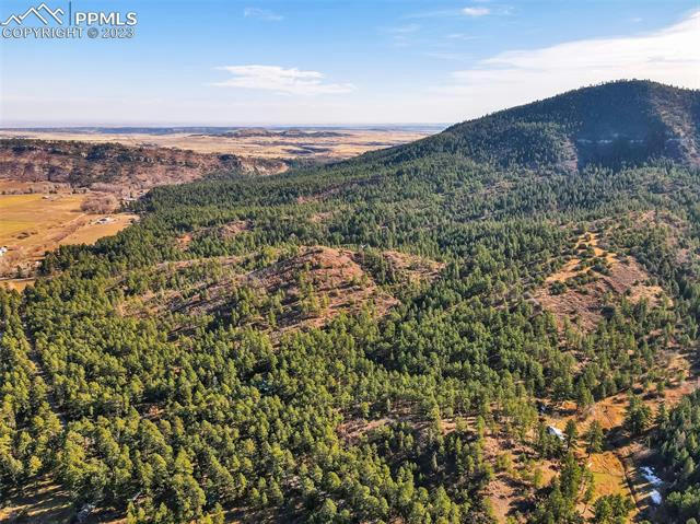 PINE DRIVE, BEULAH, CO 81023, photo 1 of 30