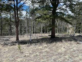 298 PINEWOOD RD, FLORISSANT, CO 80816 - Image 1