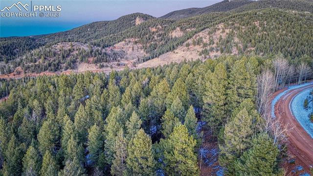 959 CALCITE DR, DIVIDE, CO 80814, photo 1 of 18
