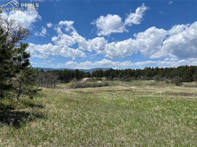 780 GRANDWOOD DR, MONUMENT, CO 80132, photo 1 of 8