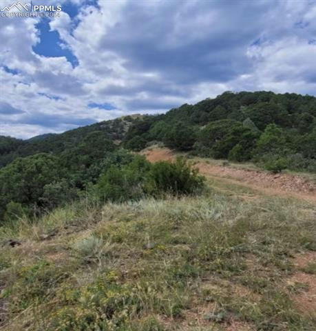 LOT 21 TURKEY CANON RANCH HEIGHTS, COLORADO SPRINGS, CO 80926, photo 1 of 6