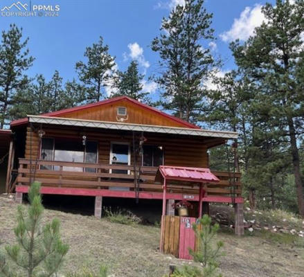 32 ICEHOUSE TRL, LAKE GEORGE, CO 80827 - Image 1