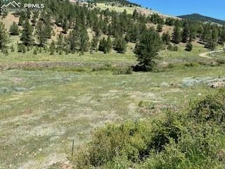 521 MONARCH DR, CRIPPLE CREEK, CO 80813, photo 5 of 5