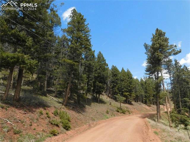 LOT 11 WOODMOOR WEST DRIVE, LARKSPUR, CO 80118, photo 1 of 37