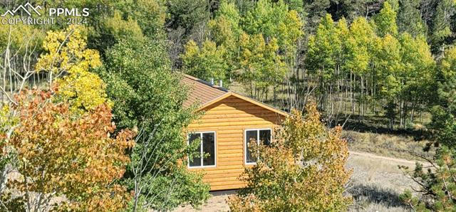 61 GARNET LN, LAKE GEORGE, CO 80827 - Image 1