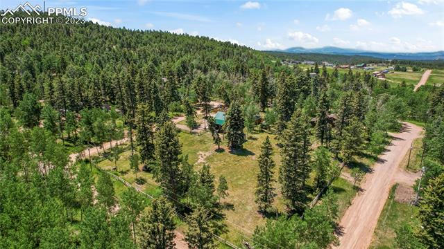 62 MAID MARIAN DR, DIVIDE, CO 80814, photo 1 of 4