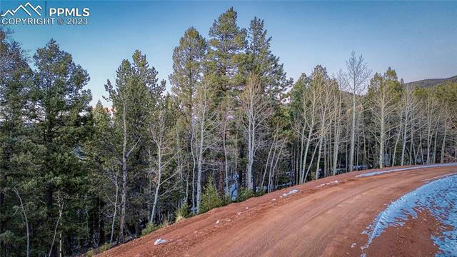 959 CALCITE DR, DIVIDE, CO 80814, photo 3 of 18