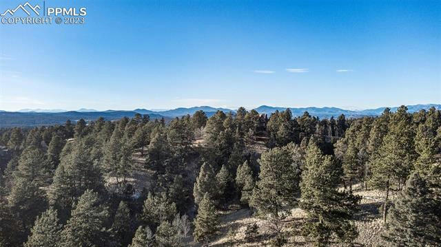 525 SPRING VALLEY DR, FLORISSANT, CO 80816, photo 2 of 15