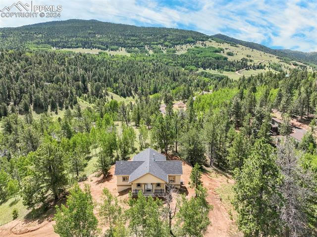 507 YORKTOWN DR, CRIPPLE CREEK, CO 80813, photo 1 of 50