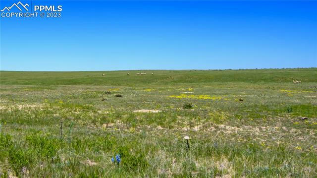 35753 FOGARTY ROAD, YODER, CO 80864, photo 1 of 2