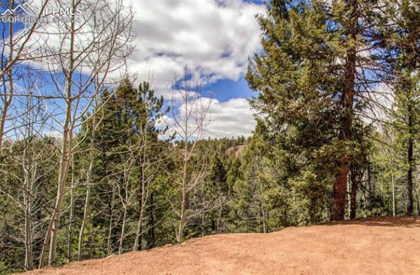 221 VALLEY RD, DIVIDE, CO 80814 - Image 1