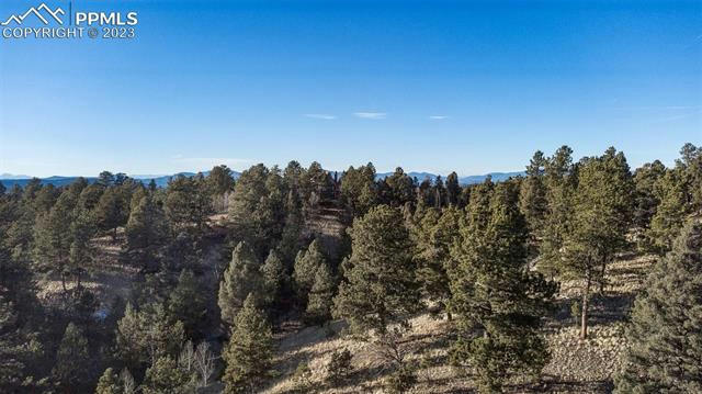 525 SPRING VALLEY DR, FLORISSANT, CO 80816, photo 3 of 15