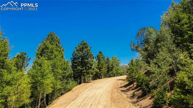 1651 MAY QUEEN DR, CRIPPLE CREEK, CO 80813, photo 4 of 44