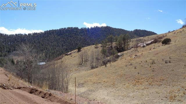 400 LAST DOLLAR DR, CRIPPLE CREEK, CO 80813, photo 4 of 15