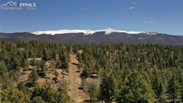 420 HOMESTEAD RD, DIVIDE, CO 80814, photo 2 of 34
