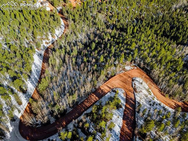 1341 CALCITE DR, DIVIDE, CO 80814, photo 1 of 15