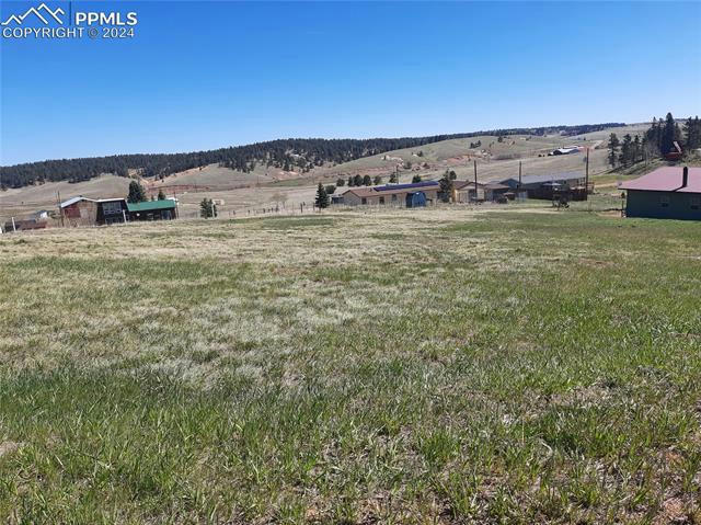 149 WILL SCARLET DR, DIVIDE, CO 80814, photo 1 of 5