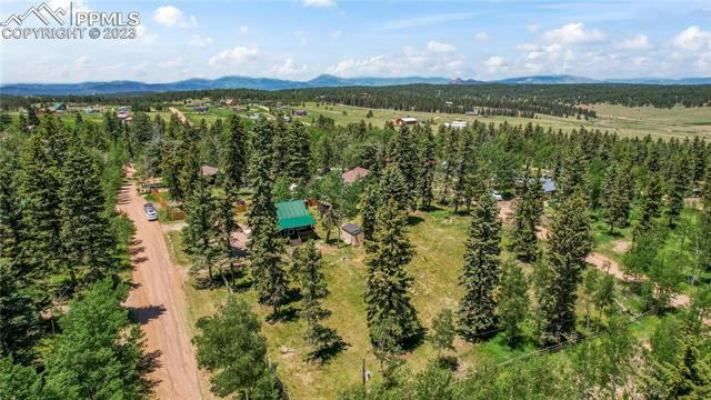 62 MAID MARIAN DR, DIVIDE, CO 80814, photo 2 of 4