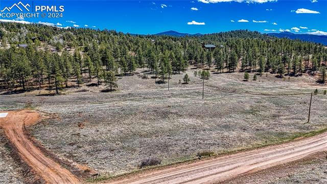 150 HIGH PASTURE RD, FLORISSANT, CO 80816, photo 1 of 21