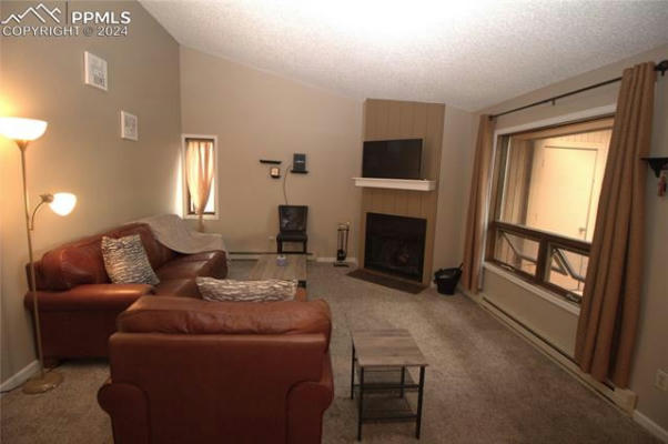 401 FOREST EDGE RD # B2, WOODLAND PARK, CO 80863, photo 3 of 18