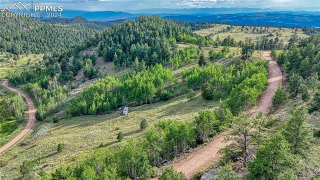 1325 PENROSE CIR, CRIPPLE CREEK, CO 80813, photo 4 of 23