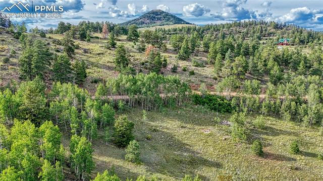 1325 PENROSE CIR, CRIPPLE CREEK, CO 80813, photo 1 of 23