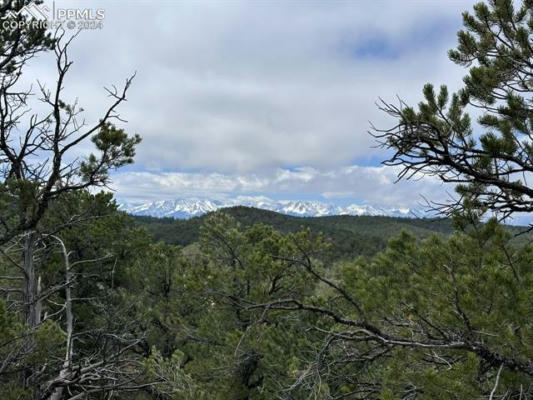 LOT 5 HOLMES ROAD, COTOPAXI, CO 81223, photo 3 of 34