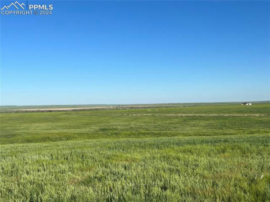 35520 COUNTY ROAD 160, AGATE, CO 80101, photo 3 of 13