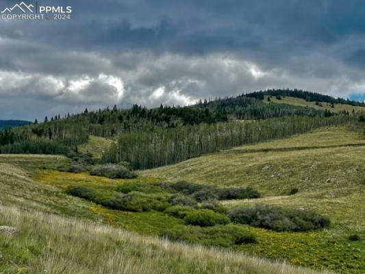 LOT 358 COUNTY ROAD 634, GARDNER, CO 81040, photo 3 of 34