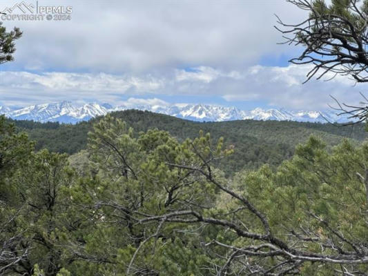 LOT 5 HOLMES ROAD, COTOPAXI, CO 81223, photo 2 of 34