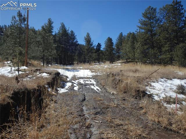 1298 COUNTY RD 112, FLORISSANT, CO 80816, photo 1 of 25