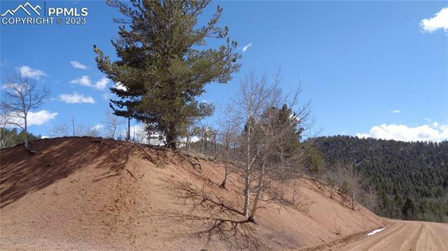 400 LAST DOLLAR DR, CRIPPLE CREEK, CO 80813, photo 1 of 15