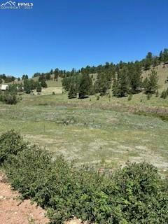 521 MONARCH DR, CRIPPLE CREEK, CO 80813, photo 4 of 5