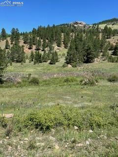 521 MONARCH DR, CRIPPLE CREEK, CO 80813, photo 2 of 5