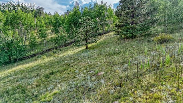 1325 PENROSE CIR, CRIPPLE CREEK, CO 80813, photo 3 of 23