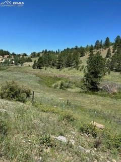 521 MONARCH DR, CRIPPLE CREEK, CO 80813, photo 1 of 5