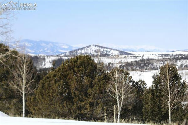 1327 COUNTY ROAD 863, VICTOR, CO 80860, photo 2 of 23
